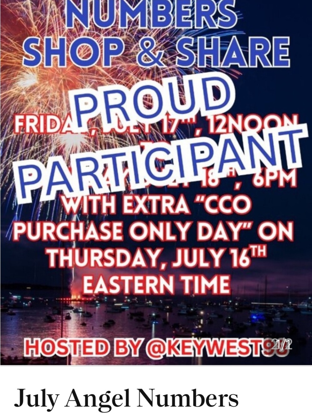 Proud Participant Blue & Red Fireworks Party Poster